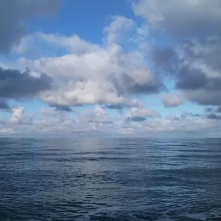 Zwergseeschwalbe - Ostsee At Its Best! Lejlighed Schönberg in Holstein