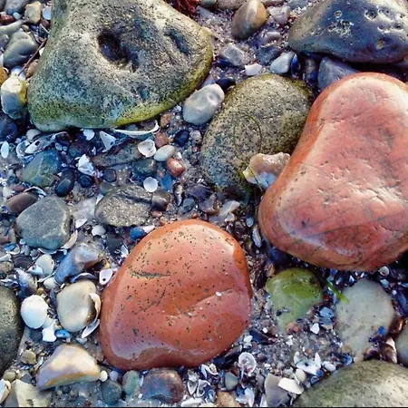 Zwergseeschwalbe - Ostsee At Its Best! * Schönberg in Holstein