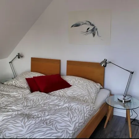 Zwergseeschwalbe - Ostsee At Its Best! * Schönberg in Holstein