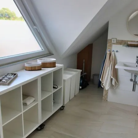 Zwergseeschwalbe - Ostsee At Its Best! Schönberg in Holstein