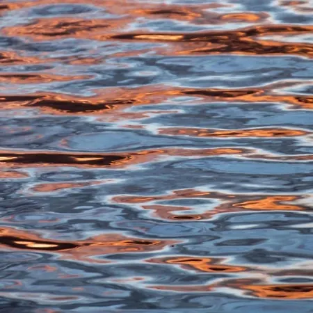 Zwergseeschwalbe - Ostsee At Its Best! Lejlighed *